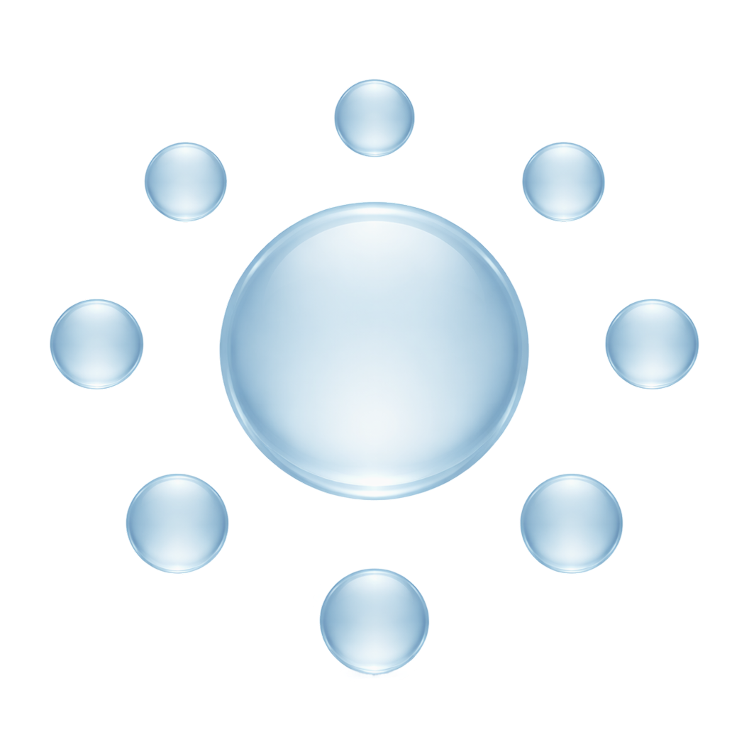 Treasury Management System