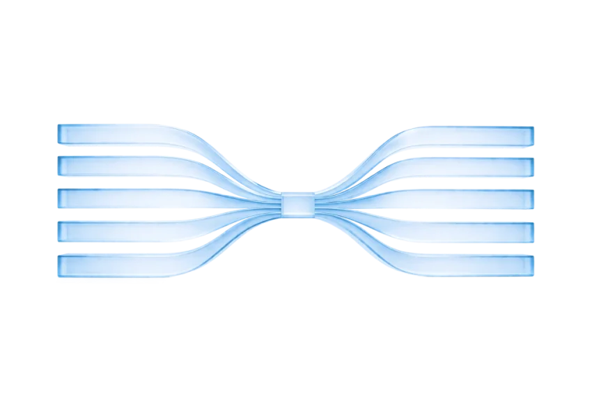 Single Sign On (SSO)