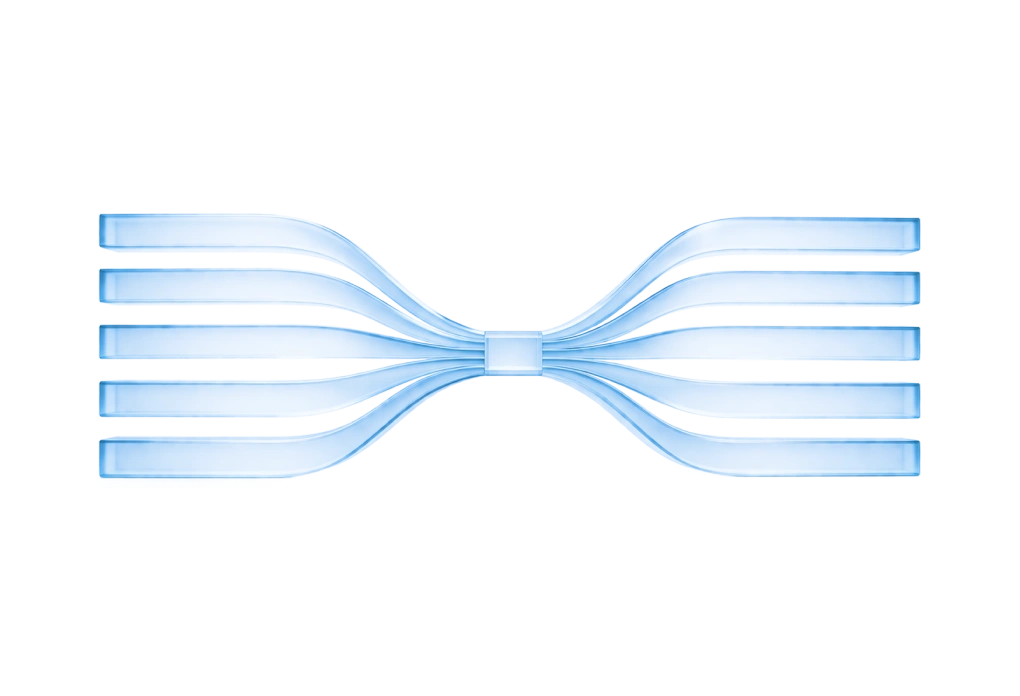 Single Sign On (SSO)